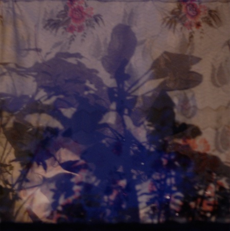 безсонні-вікна