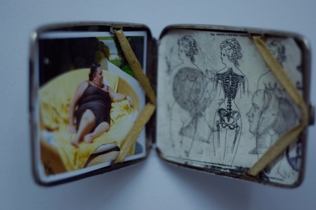 табакерка таксідермічна