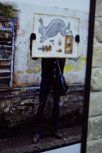 за-білим-кроликом